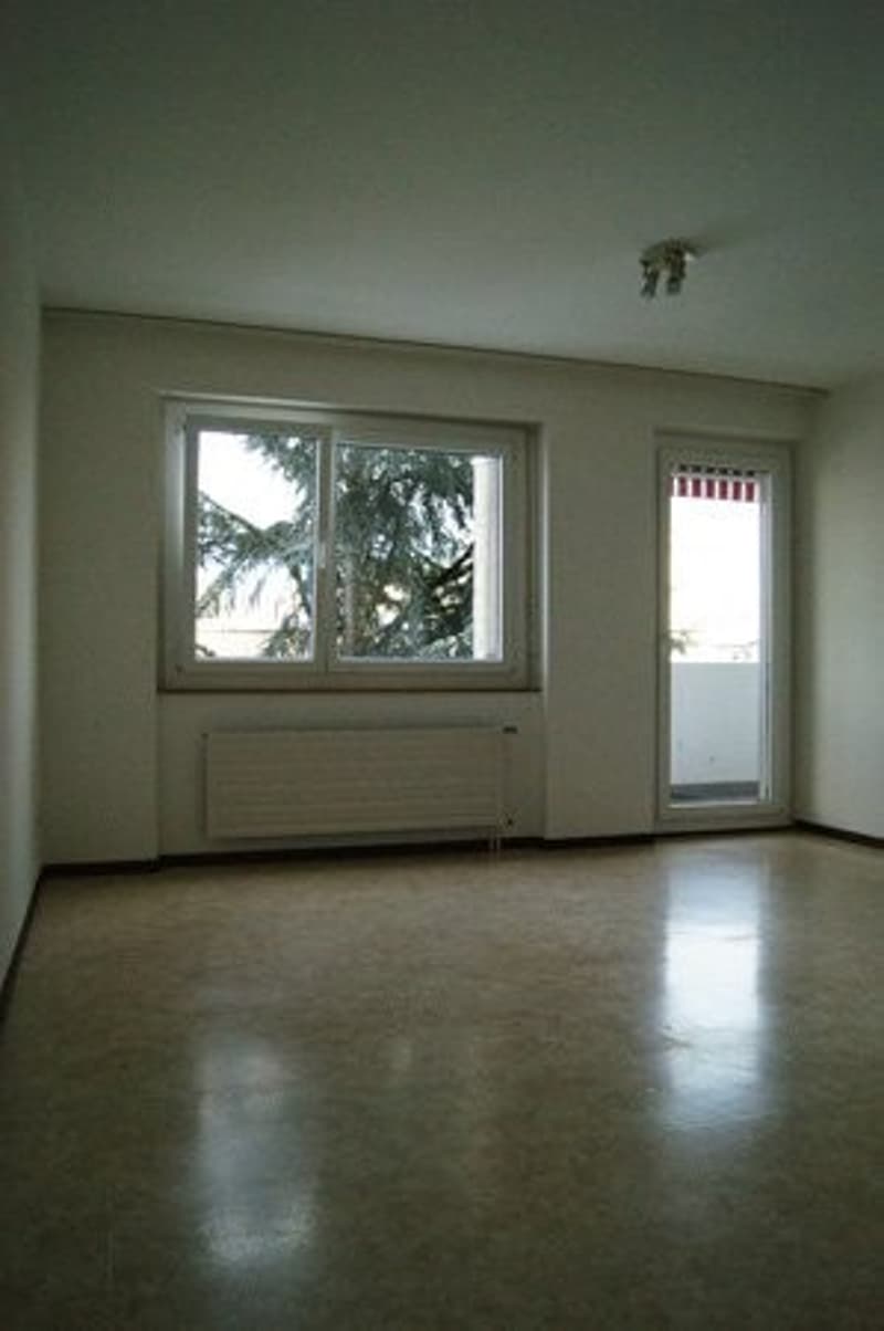 Appartement 1,5 pièces dans le quartier du jura (2)