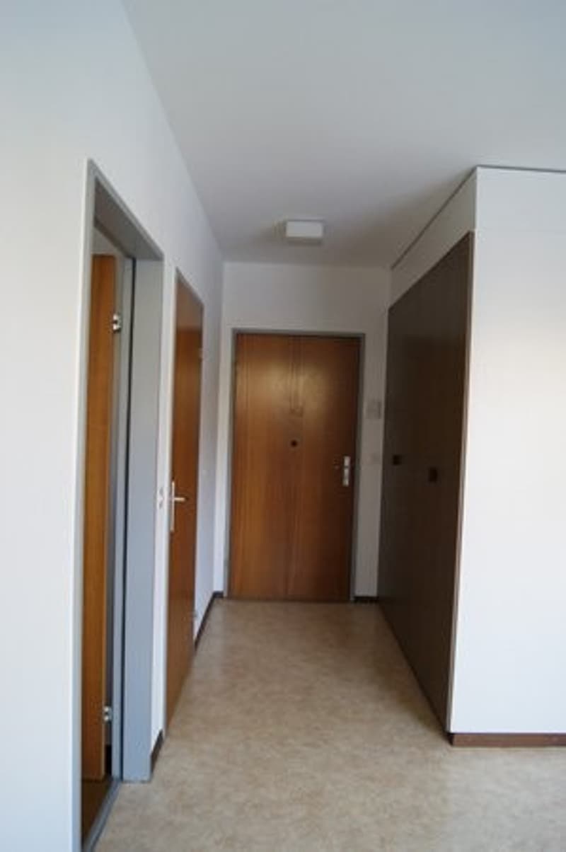 Appartement 1,5 pièces dans le quartier du jura (3)