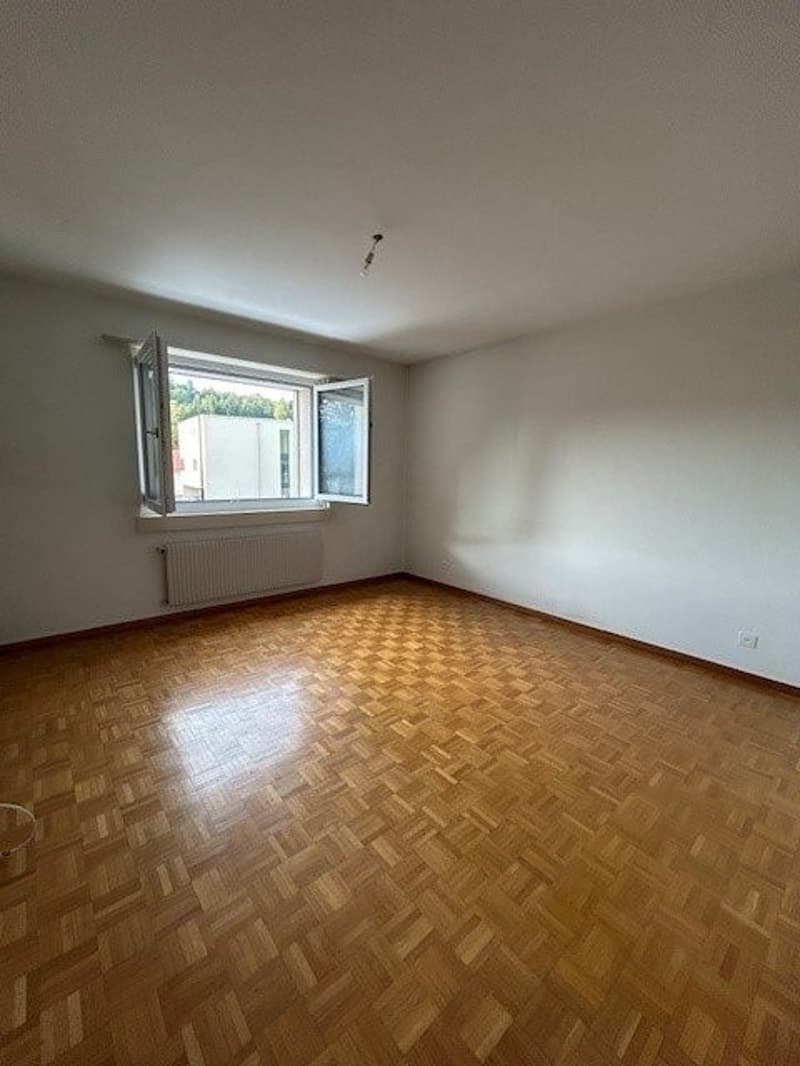 Appartement 2,5 pièces au rez (2)