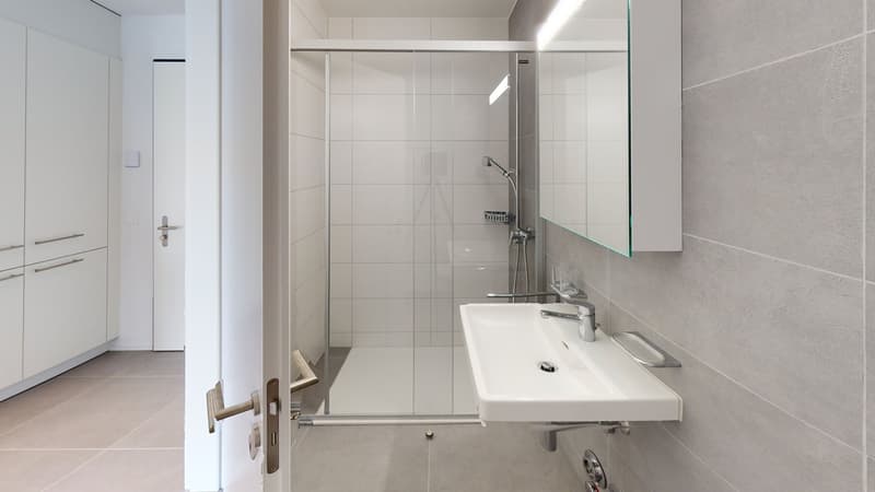 Appartement 2.5 pièces au 5ème étage (4)