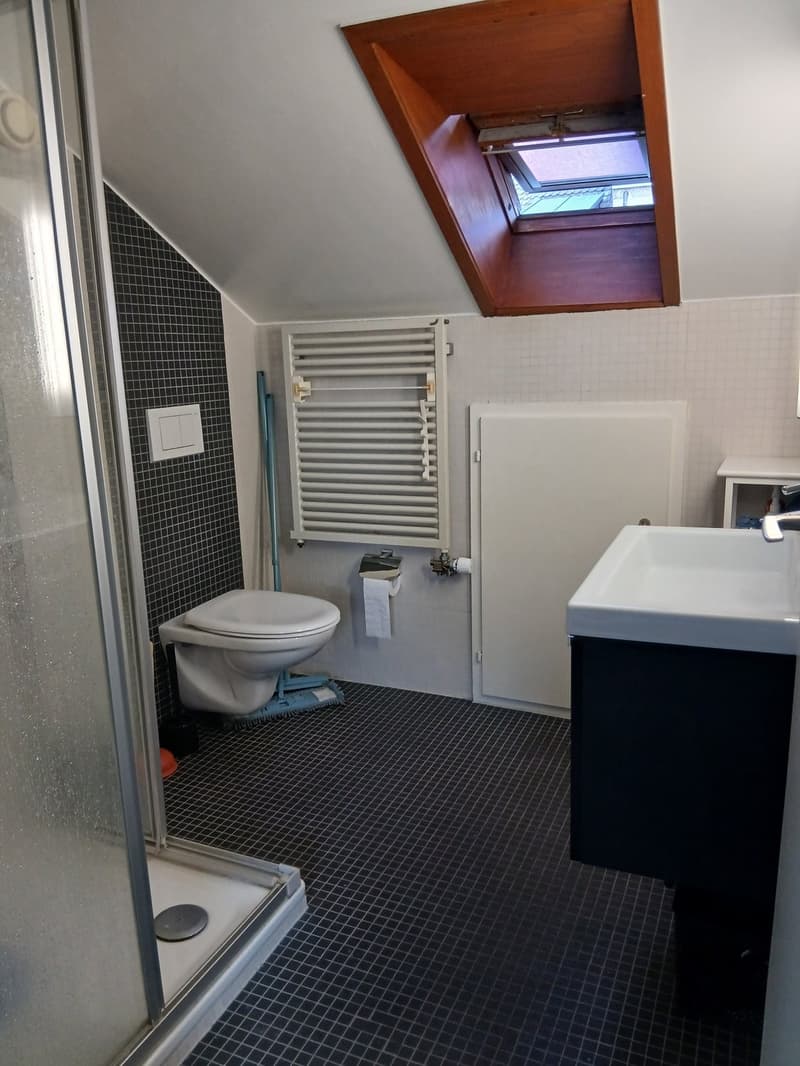 Charmant appartement de 2.5 pièces à Fribourg (4)