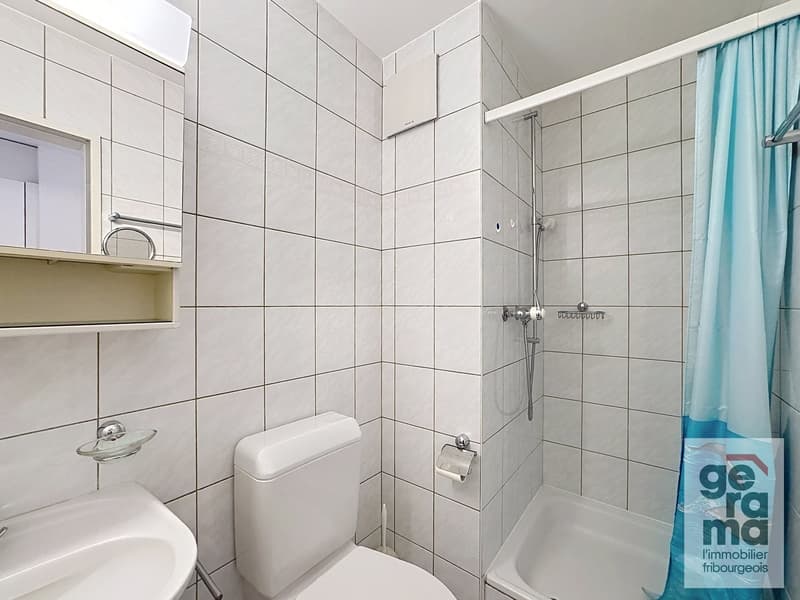 Appartement spacieux de 4,5 pièces de 113m2 (4)