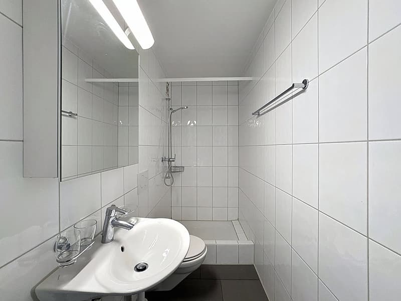 Appartement 4,5 pièces à Givisiez (4)