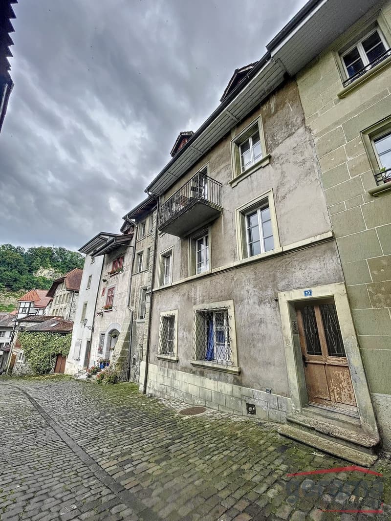 Studio rénové dans la Basse-Ville de Fribourg (5)