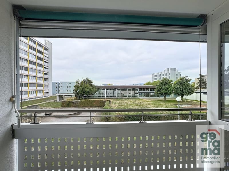 Bel appartement de 3.5 pièces au rez-de-chaussée (6)