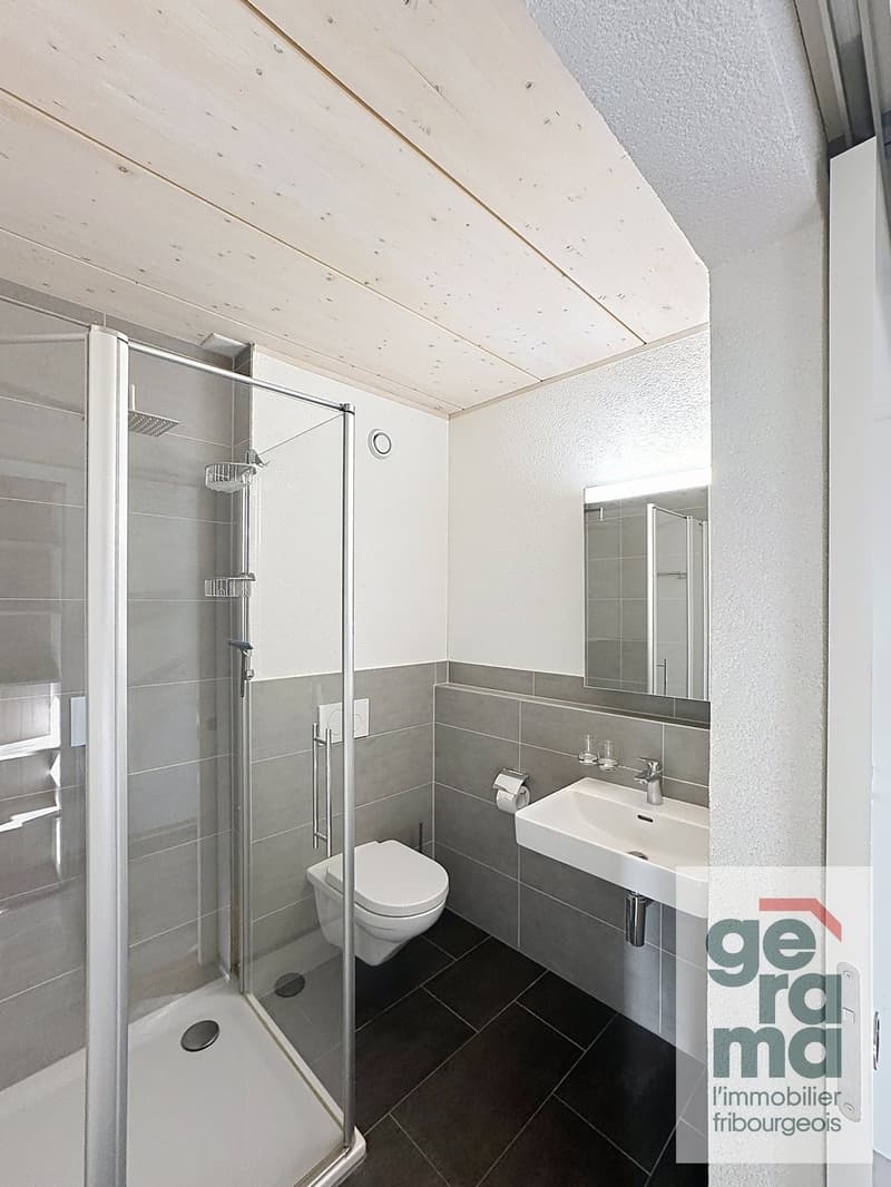 chambre meublée à Villars-sur-Glâne (3)