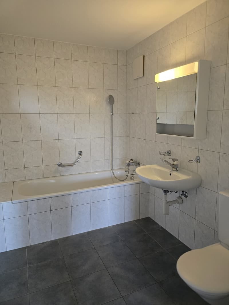 Schöne 4.5 Zimmerwohnung in Alterswil (4)