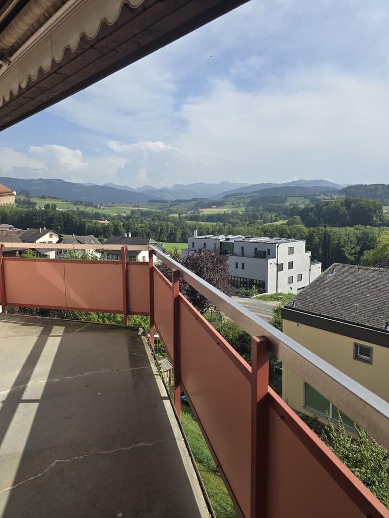 Schöne 4.5 Zimmerwohnung in Alterswil (5)