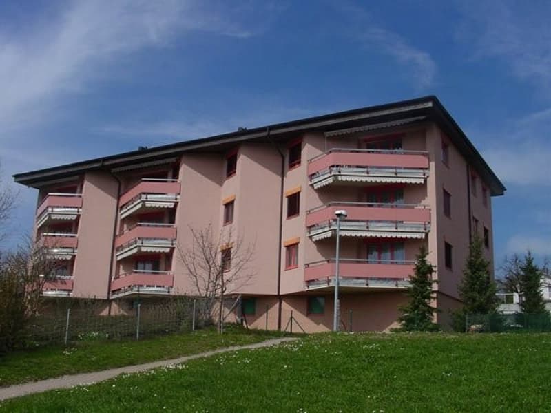 Schöne 4.5 Zimmerwohnung in Alterswil (6)