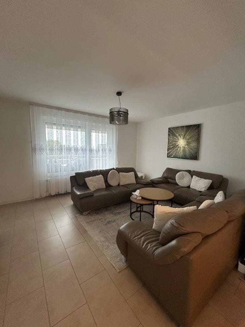 APPARTEMENTS 3.5 PIÈCES ENTIÈREMENT RÉNOVÉS, à FR (2)