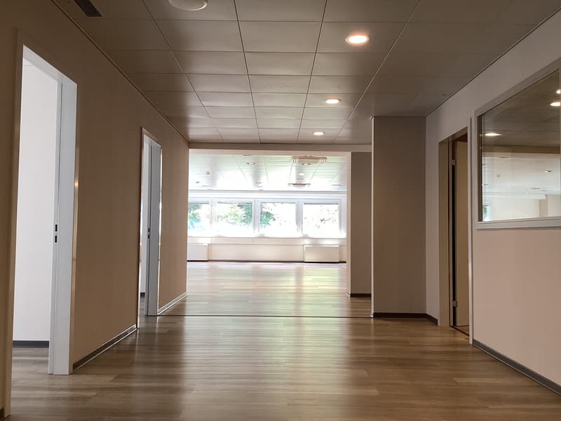Büro 310 m² in Manno (6)