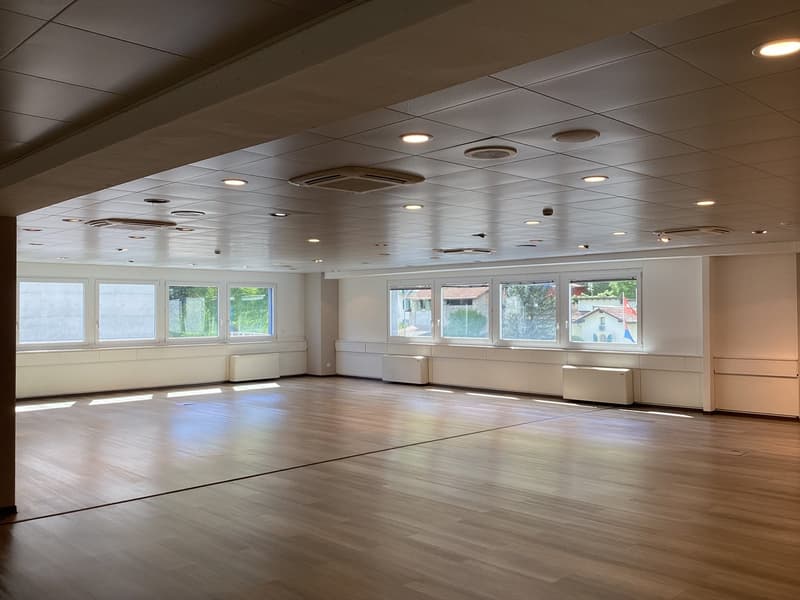 Büro 310 m² in Manno (4)