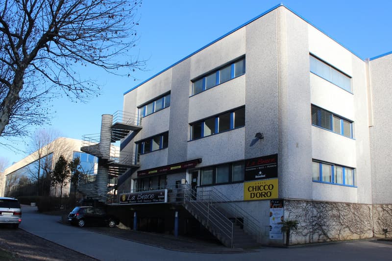 Büro 310 m² in Manno (2)