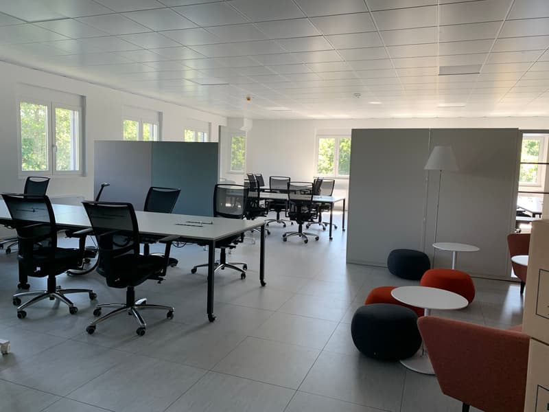 An office space with large white desks, black chairs, and cubicles, floor lamp, colorful bean bags