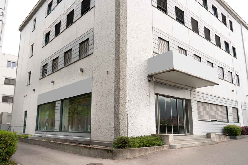 modern white building, glass windows, glass doors, steps leading to entrance, bushes, paved road