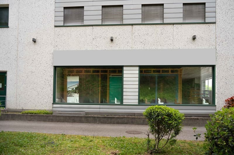 modern building, white exterior, large glass windows, green door, concrete pathway, small bushes