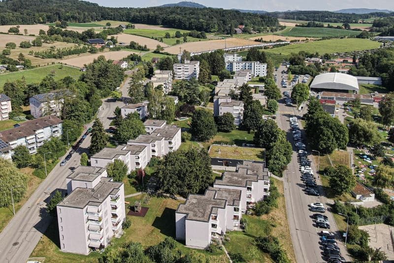 Befristete 3-Zimmerwohnung im Grünen (1)
