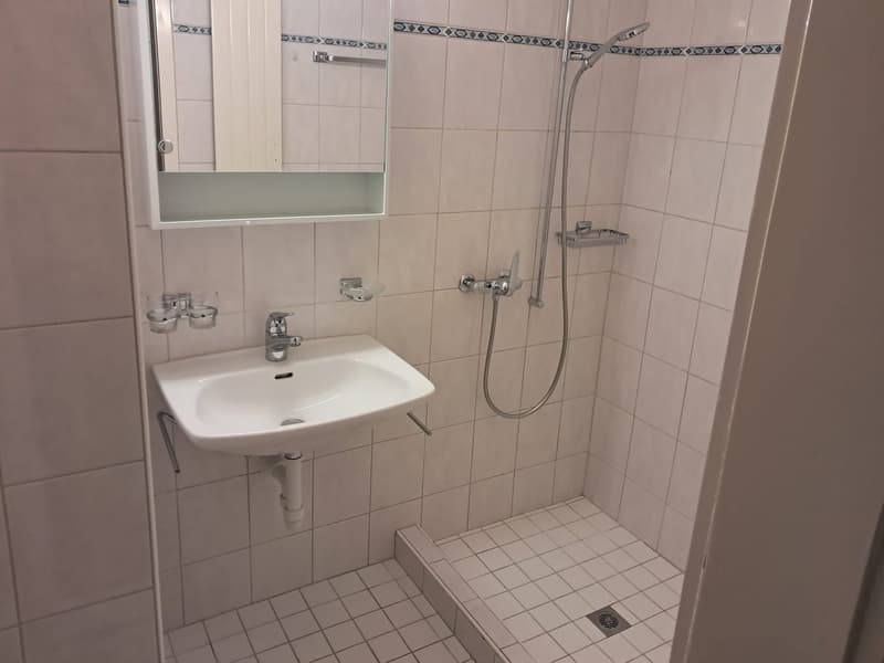 Befristete charmante 3-Zimmerwohnung (6)