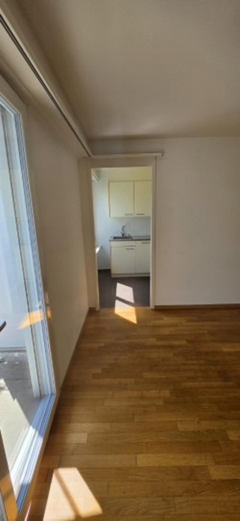 Befristete 1-Zimmerwohnung (4)