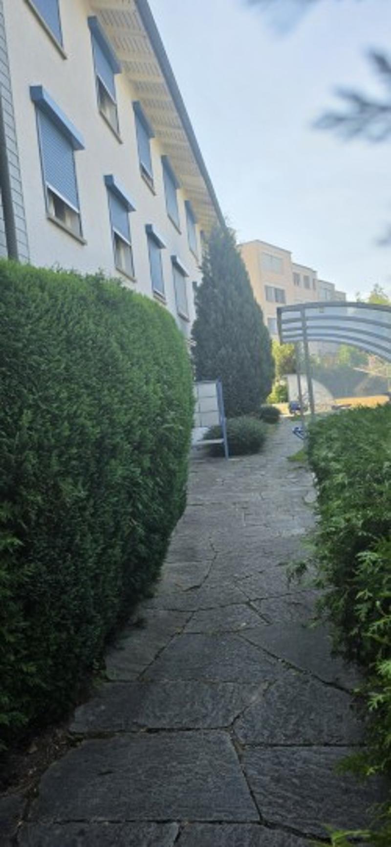 Befristete 1-Zimmerwohnung (2)