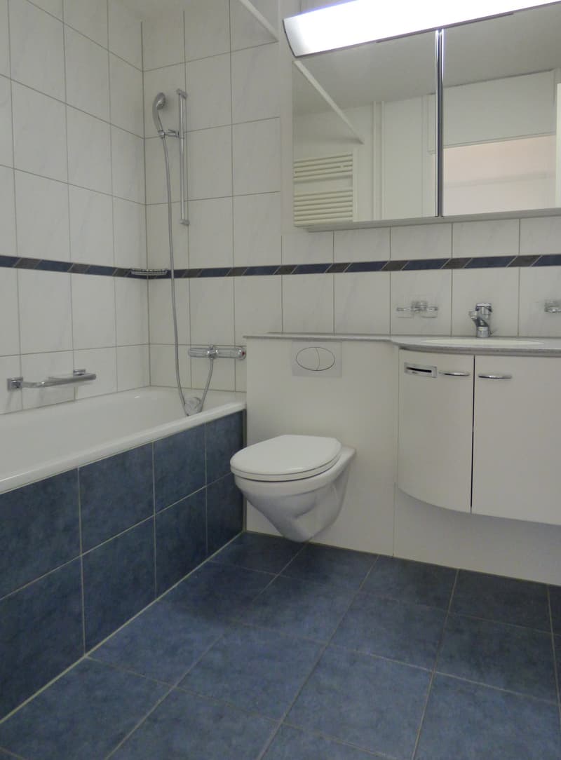 Befristete 3.5-Zimmerwohnung im Grünen (3)
