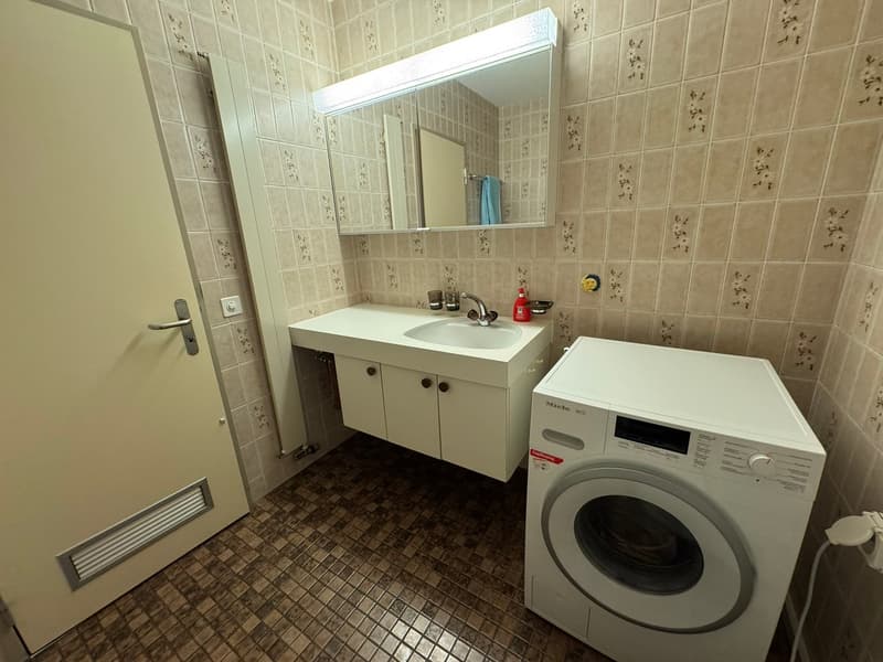Zentrale 4.5-Zimmerwohnung in Wettingen mit viel Licht und Aussicht (8)