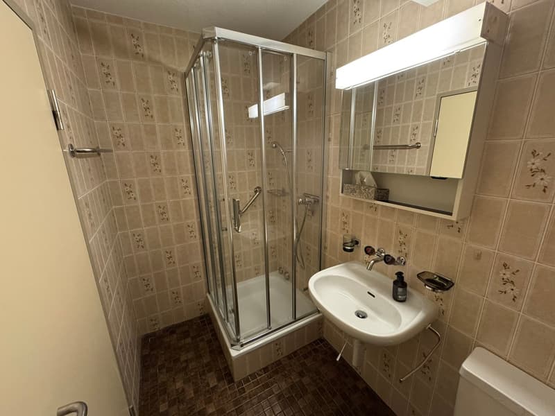 Zentrale 4.5-Zimmerwohnung in Wettingen mit viel Licht und Aussicht (6)
