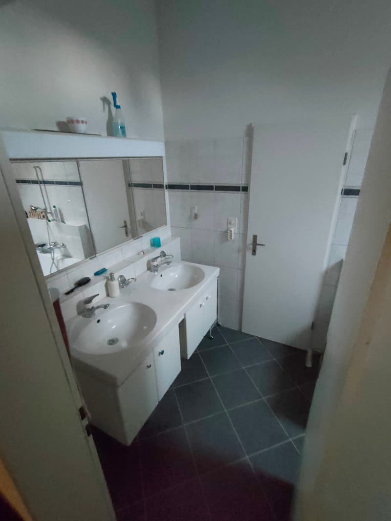 Helle Maisonettewohnung im charmanten Dorfkern (derzeit in Sanierung) (7)