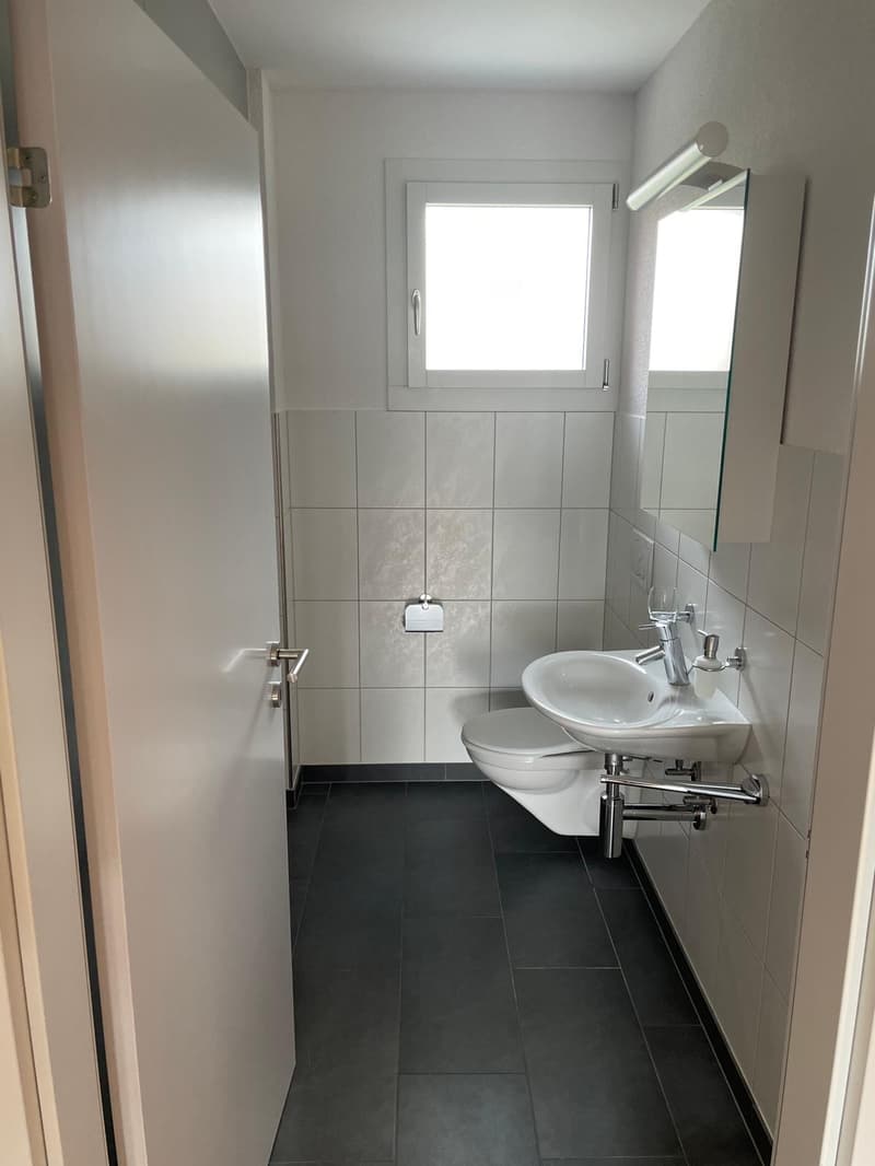 Grosszügige 5.5-Zimmer-Wohnung mit Terrasse im idyllischen Dättwil (10)