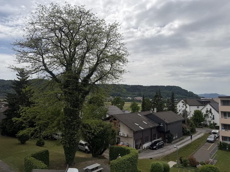 Zentral gelegen im idyllischen Kirchdorf (10)