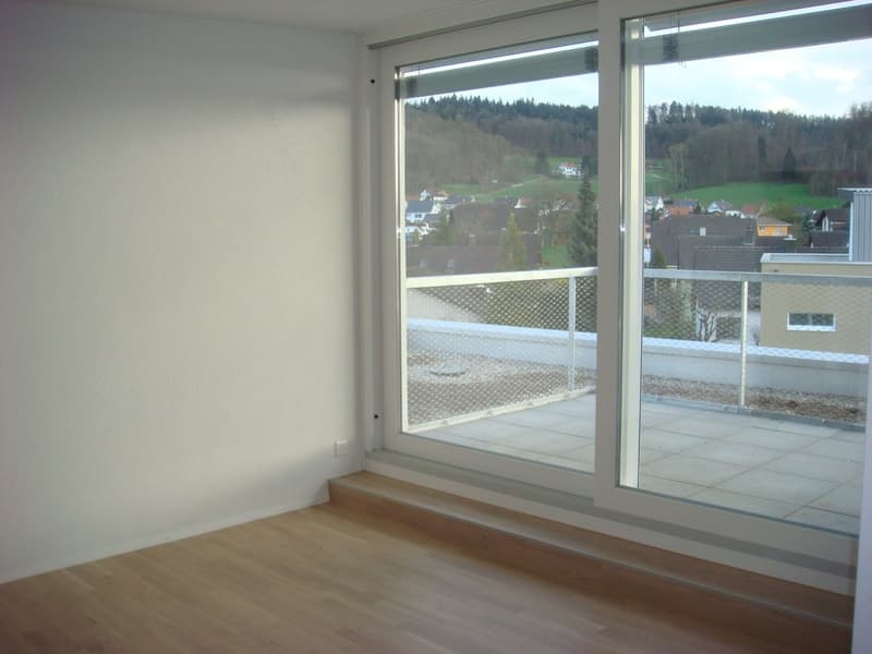 Moderne 3.5-Zimmerwohnung mit herrlicher Terrasse (7)