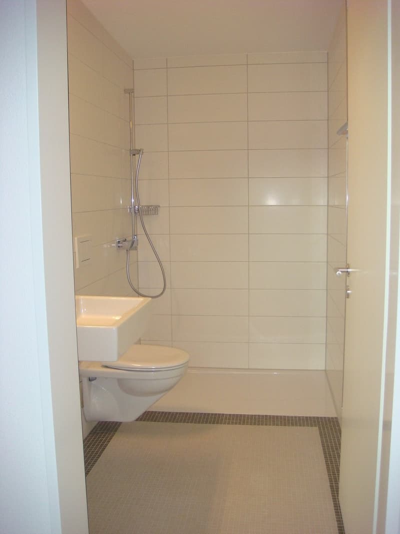 Moderne 3.5-Zimmerwohnung mit herrlicher Terrasse (5)