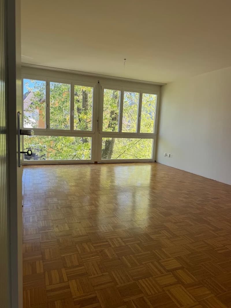 Helle und ruhige 3-Zimmerwohnung in Nähe Bahnhof (4)