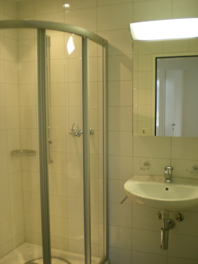 Schöne, helle 5.5-Zimmer-Attikawohnung an zentraler Lage (5)