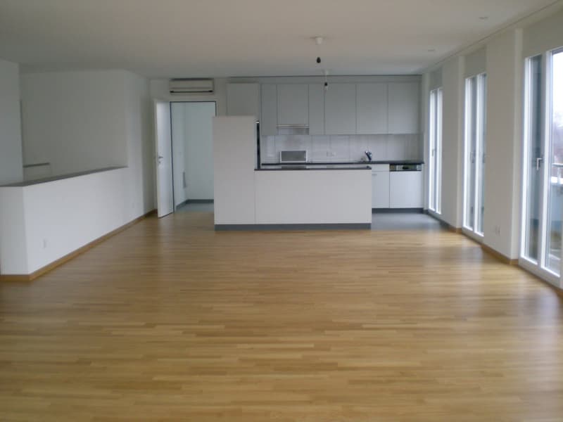 Schöne, helle 5.5-Zimmer-Attikawohnung an zentraler Lage (3)