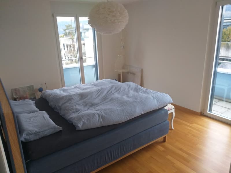 Schöne, helle 5.5-Zimmer-Attikawohnung an zentraler Lage (6)