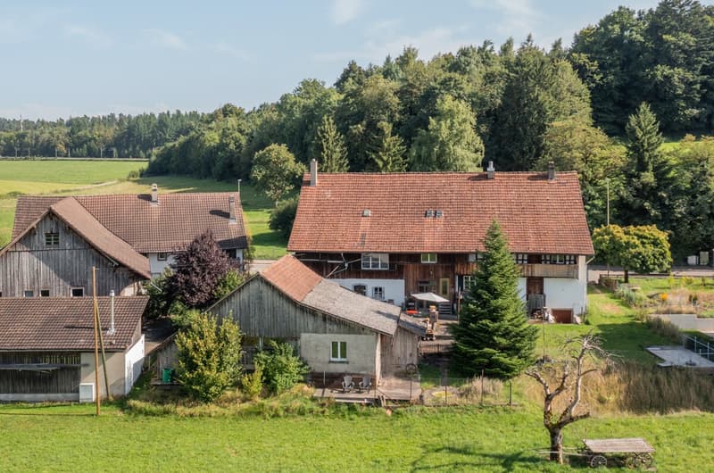 bauernhaus-mit-viel-potenzial
