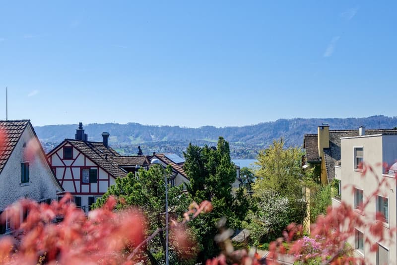 Ausblick