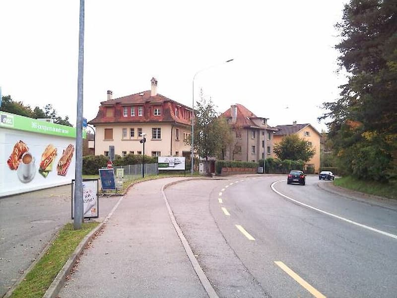 Studios in Freiburg (6)