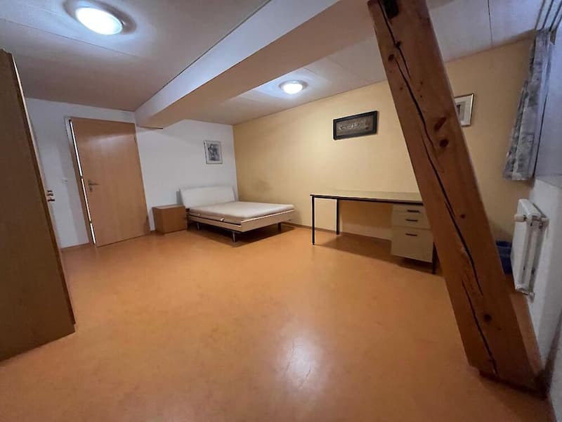 Grosse Gewerbefläche im Dachgeschoss (8)