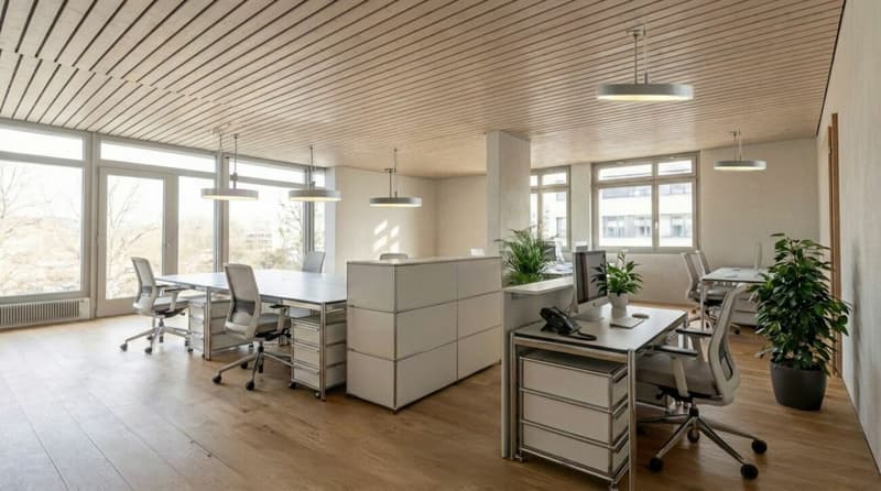 Spazio commerciale nel cuore di Schmitten (3)