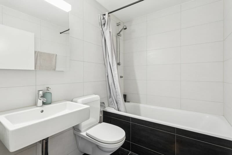 Appartamento loft moderno di 4,5 locali nel cuore del distretto di Sense (12)