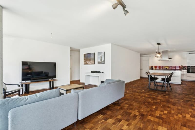 Appartamento loft moderno di 4,5 locali nel cuore del distretto di Sense (7)