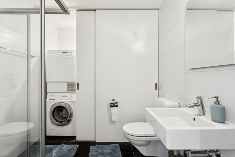 Appartamento loft moderno di 4,5 locali nel cuore del distretto di Sense (11)