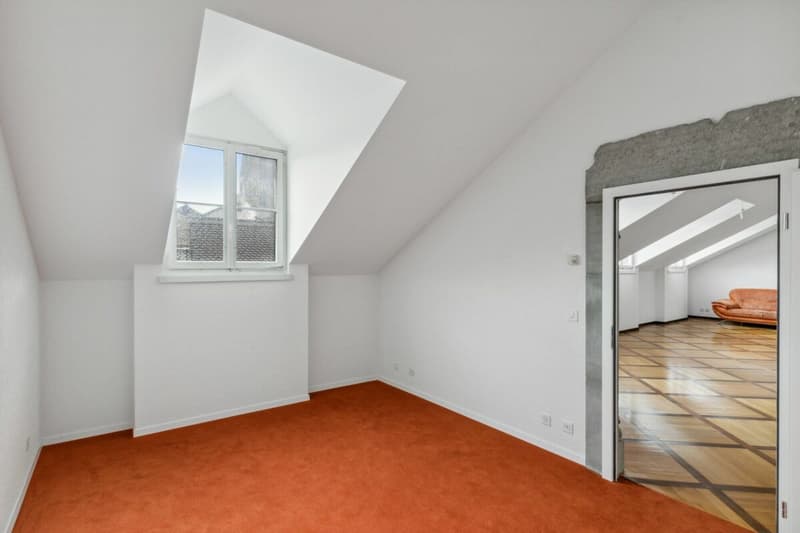 Liebhaberobjekt in der Altstadt von Freiburg (10)