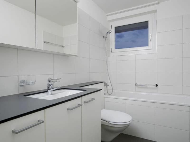 gemütlich gelegene 3 Zimmerwohnung (3)