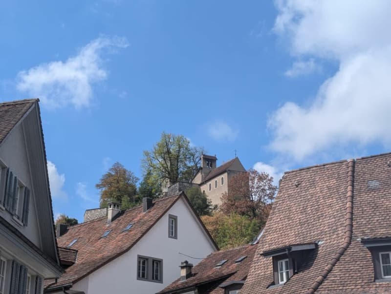 Gewerberäume zu vermieten (1)
