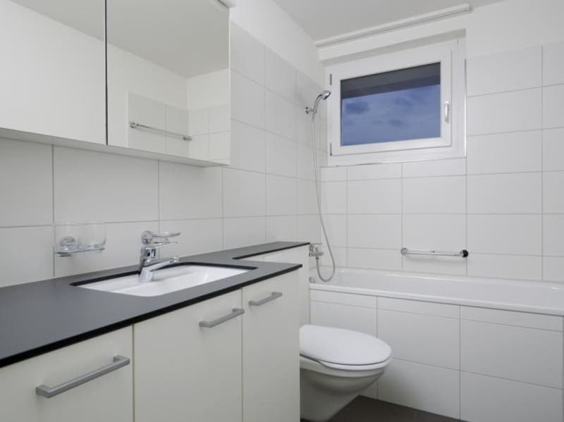 Helle 3-Zimmerwohnung zu vermieten (3)