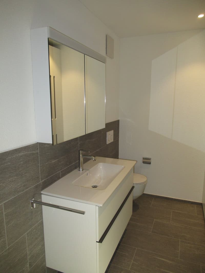 modern bathroom with white sink, silver faucet, white toilet, white wall, gray tiles