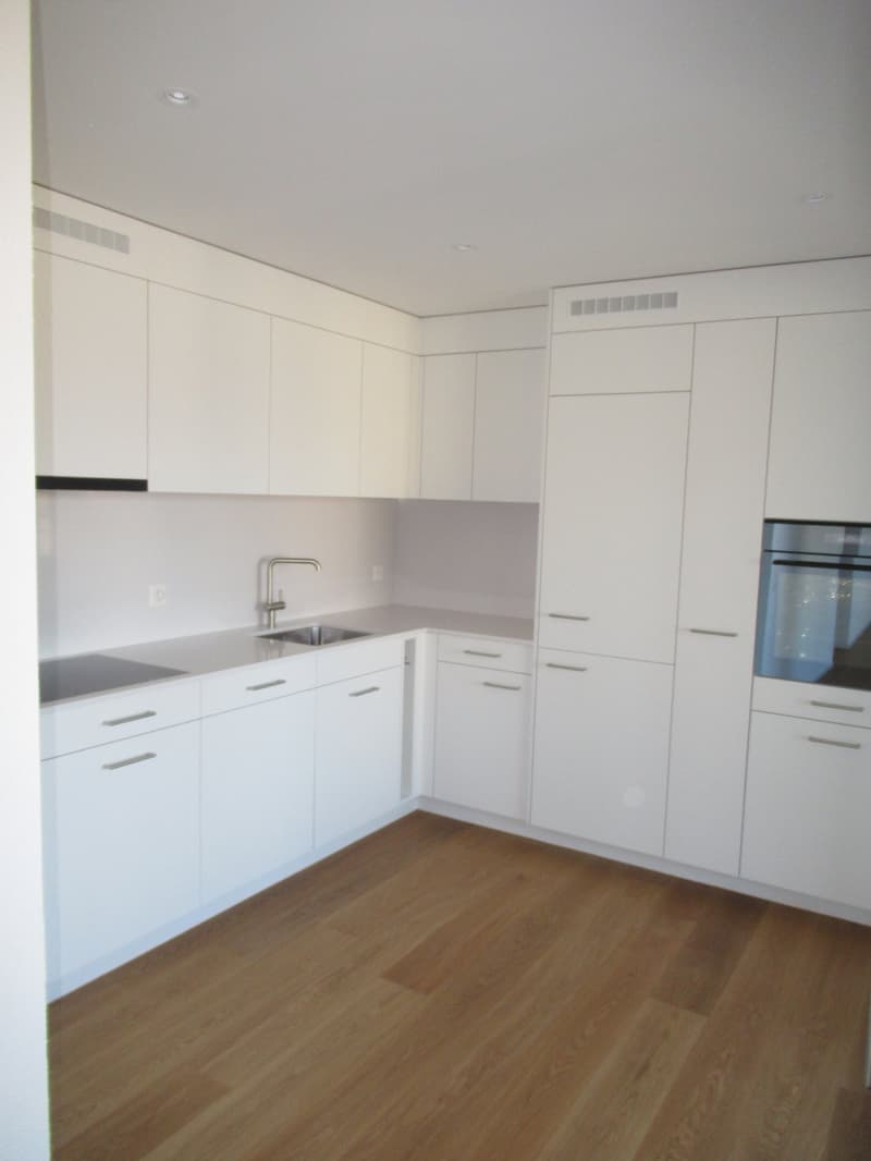 modern kitchen with white cabinets, wooden floor, stainless steel sink, faucet, built-in oven